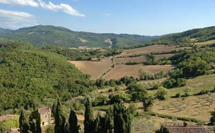 La bellissima veduta dalla torre del castello