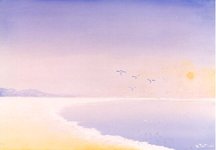 La spiaggia bianca di Vada 1997 olio