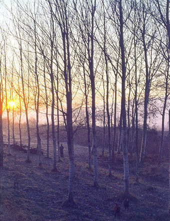 Alba lungo la Sieve. Foto di Mario Calzolai - Borgo San Lorenzo