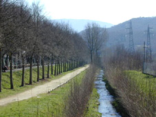 Il torrente Le Cale a Borgo San Lorenzo. Foto di Andrea Lapi