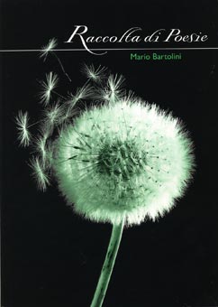 Copertina della raccolta di poesie di Mario Bartolini