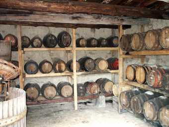 La cantina di Frascole