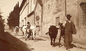 La strada delle Salaiole, nei pressi di Viterete