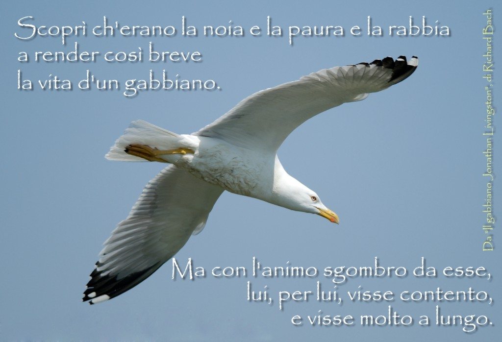 Il gabbiano JL