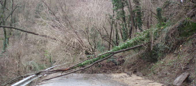 Frana Polcanto Originale