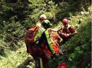 Ricerche nel bosco