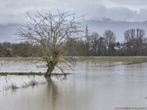 La Sieve in piena a Sagginale