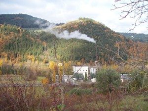 Inceneritore Selvapiana