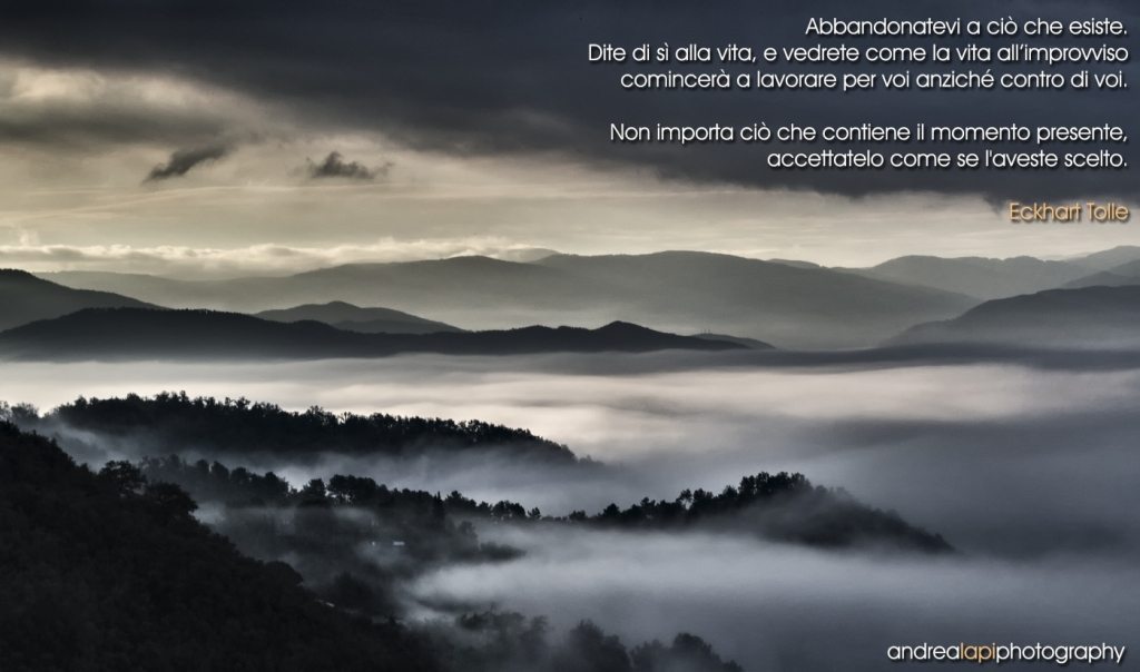 frasi tolle gennaio 2014