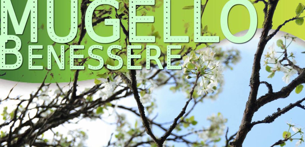 10551688_1556935231246402_2948009778781195896_o-2