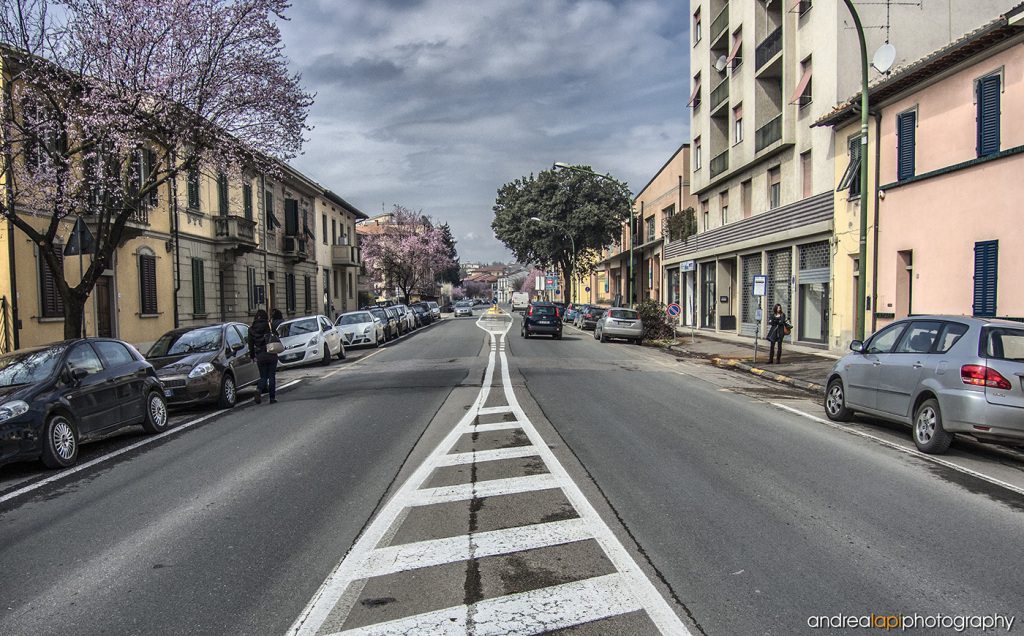 alberi viale tagliati 02