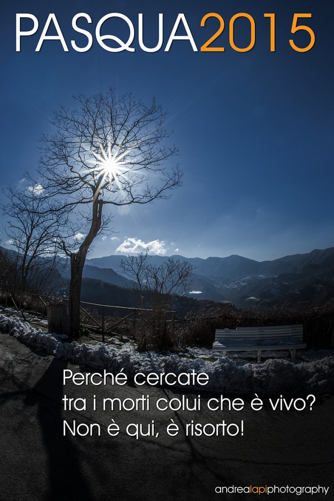 Non Cercate Tra I Morti Testo