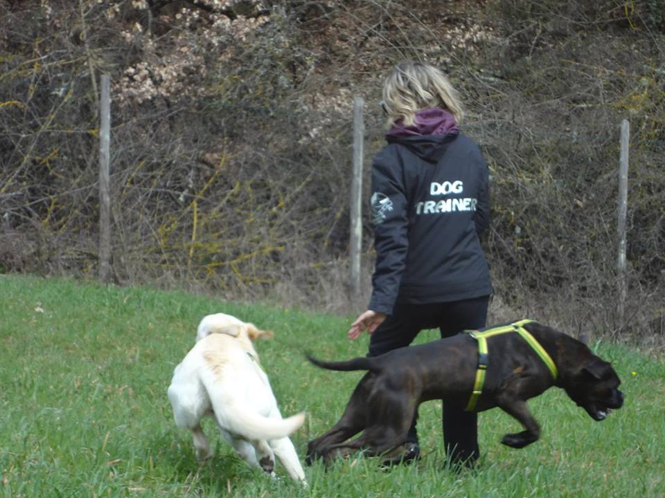 area cani