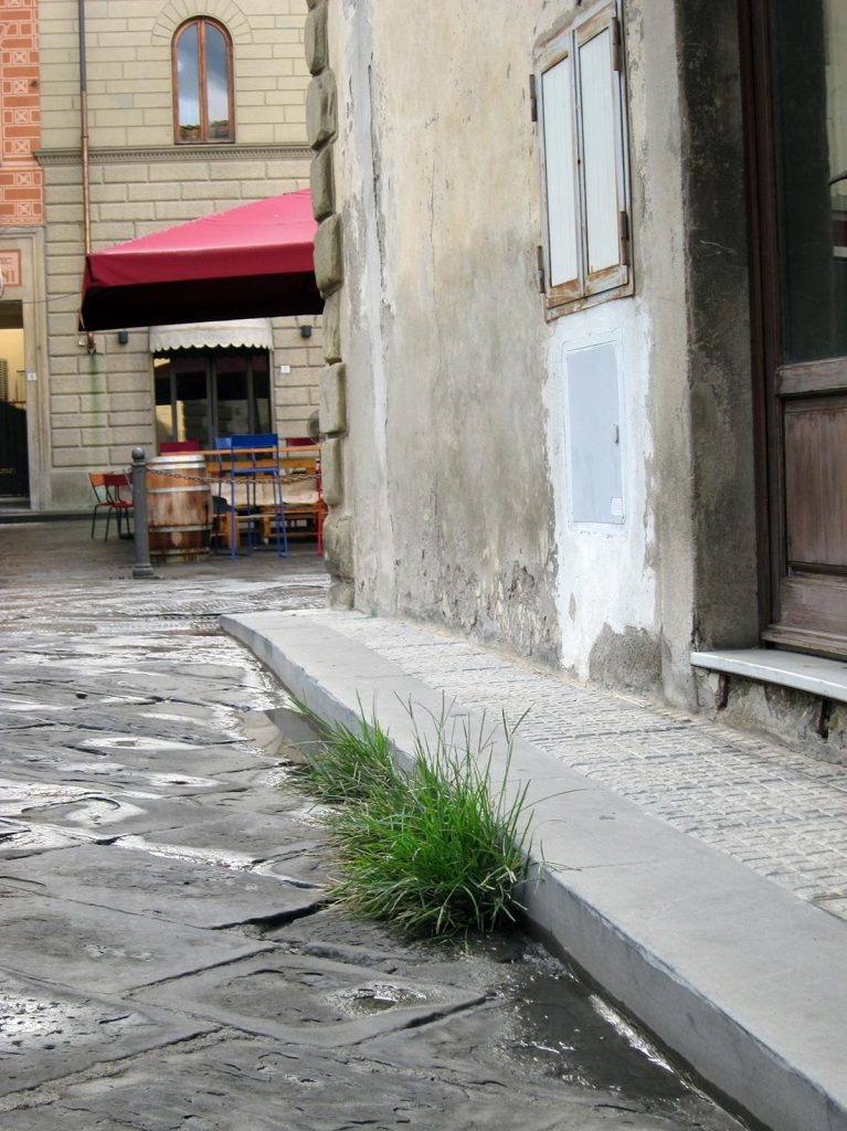 Erbacce in via Cocchi a Borgo San Lorenzo