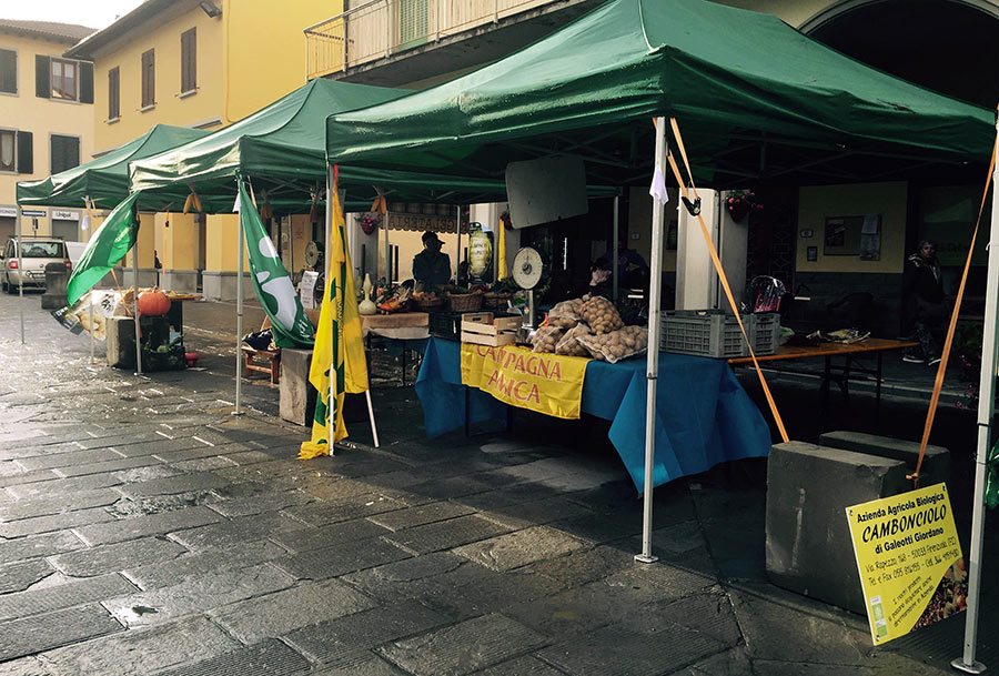 festa-pata-firenzuolina-2015-3