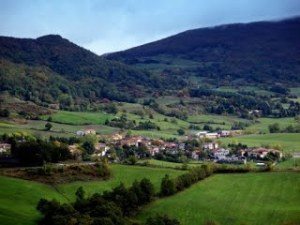 Bruscoli
