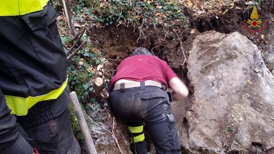cane-intrappolato-in-tana-di-volpe-soccorso-vigili-del-fuoco-2