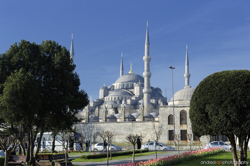 Turchia 145 - Moschea Blu - Istanbul