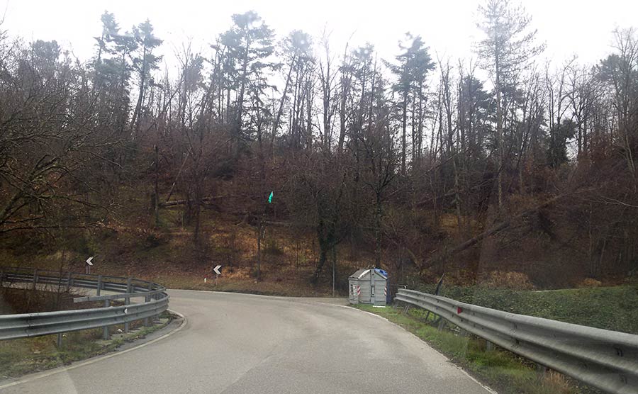 alberi-sradicati-vento-ss65-montecarelli-1