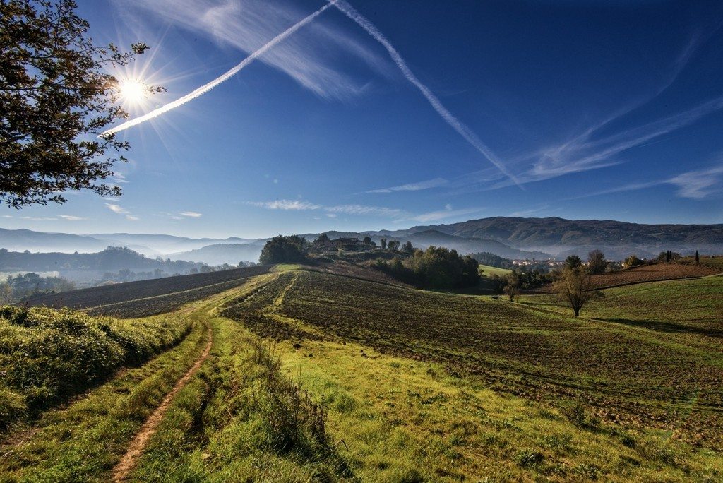 Gianfranco Guazzi Fotografie (1)_01