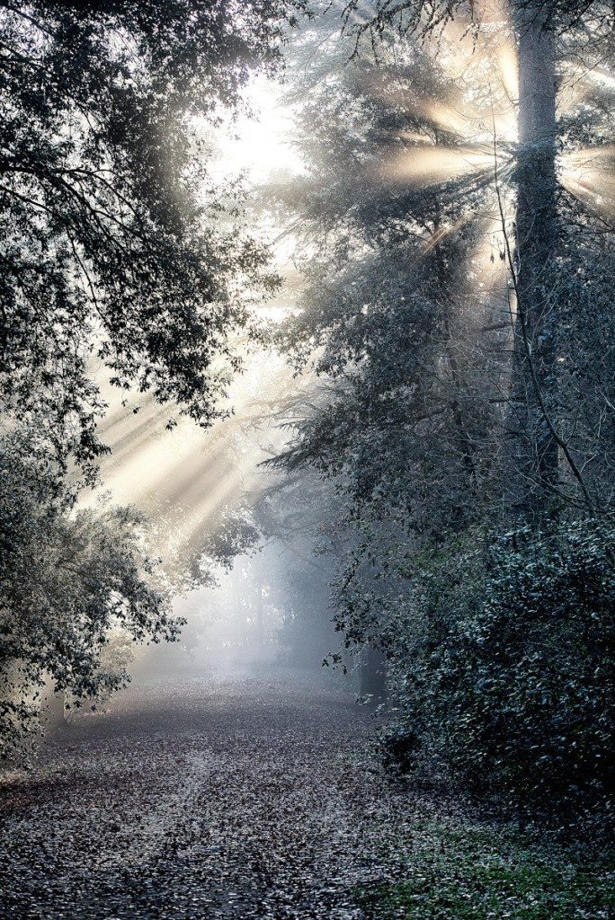 Gianfranco Guazzi Fotografie_01