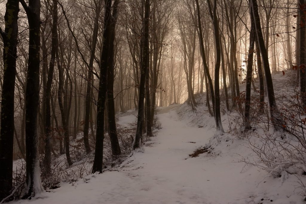 foto mirko borselli (1)