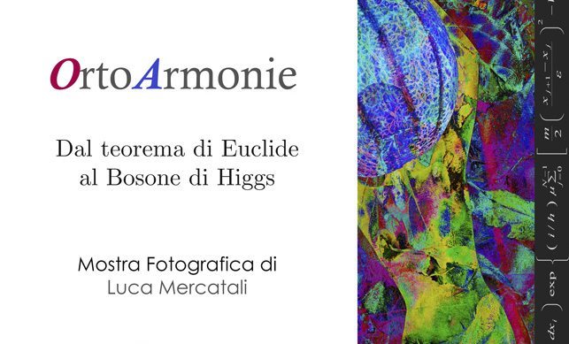 mostra luca copertina