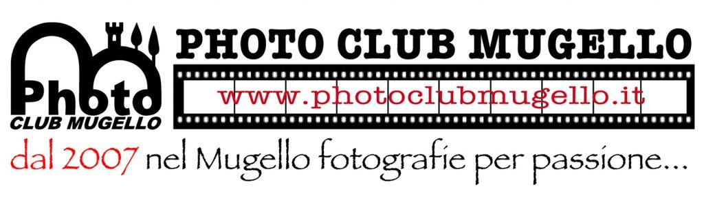 Logo PCM bianco