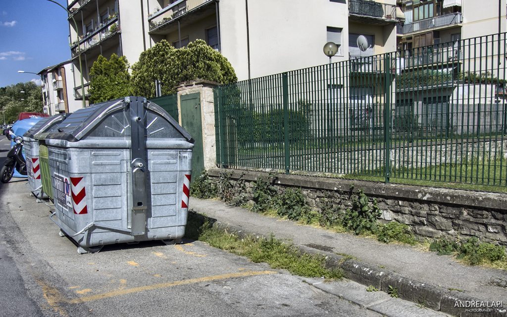 erbacce cassonetto 01