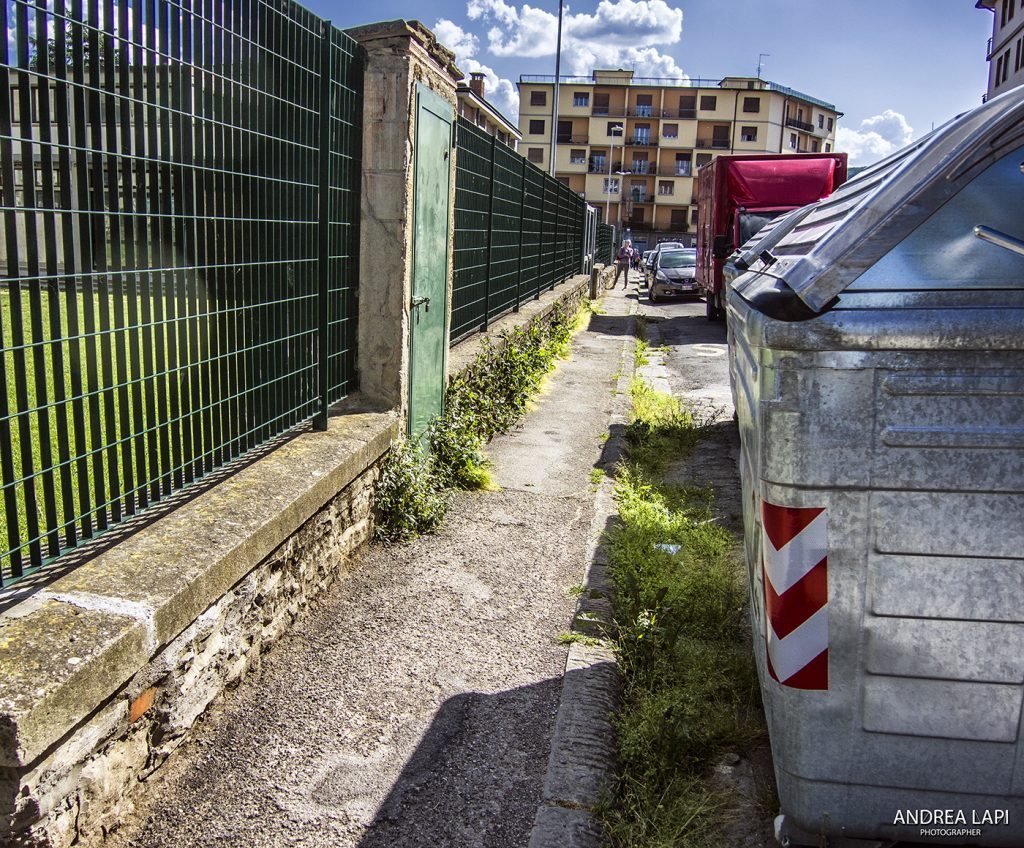 erbacce cassonetto 02