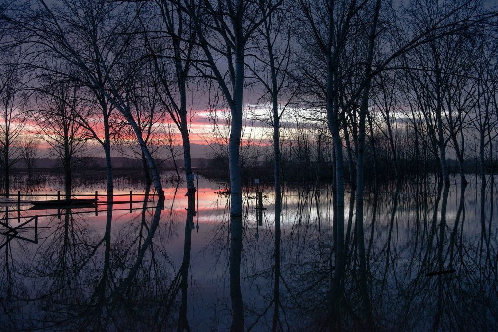 Il Padule di Fucecchio - Foto di Gianfranco Guazzi