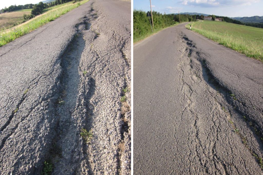 Articolo_Gabbiano_strada_immagini_02