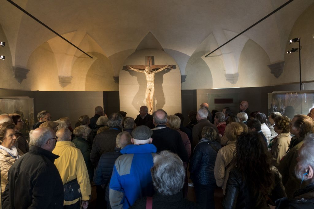 Bosco_ai_Frati_gruppo_Padova