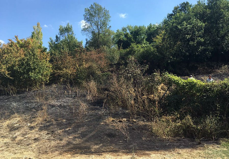 incendio-cardetole-1