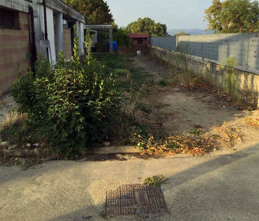 operazione-verde-luco-scuola-elementare-1