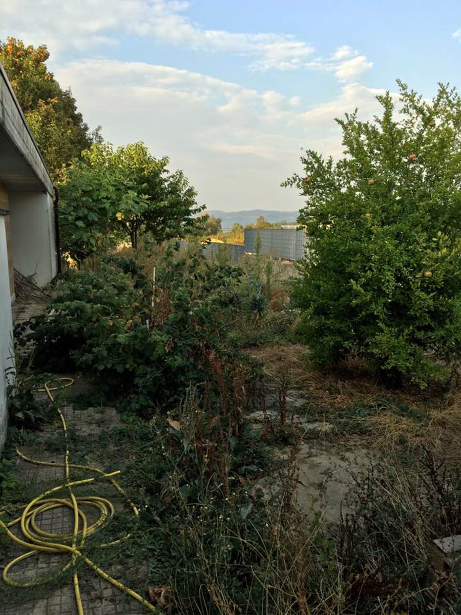 operazione-verde-luco-scuola-elementare-4