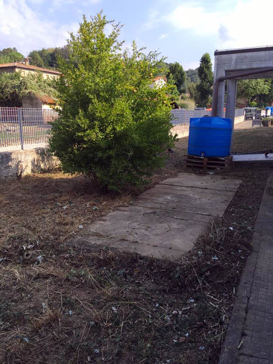 operazione-verde-luco-scuola-elementare-9