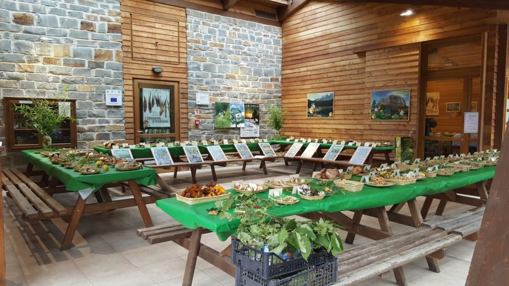Casa Erci mostra fungh 2016_3