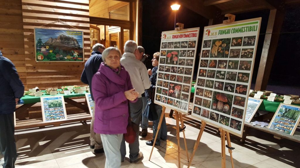 Casa Erci mostra fungh 2016_2