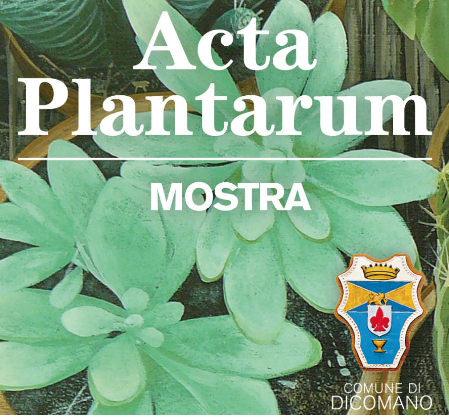 mostra-acta-plantarum-dicomano