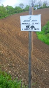 latera1