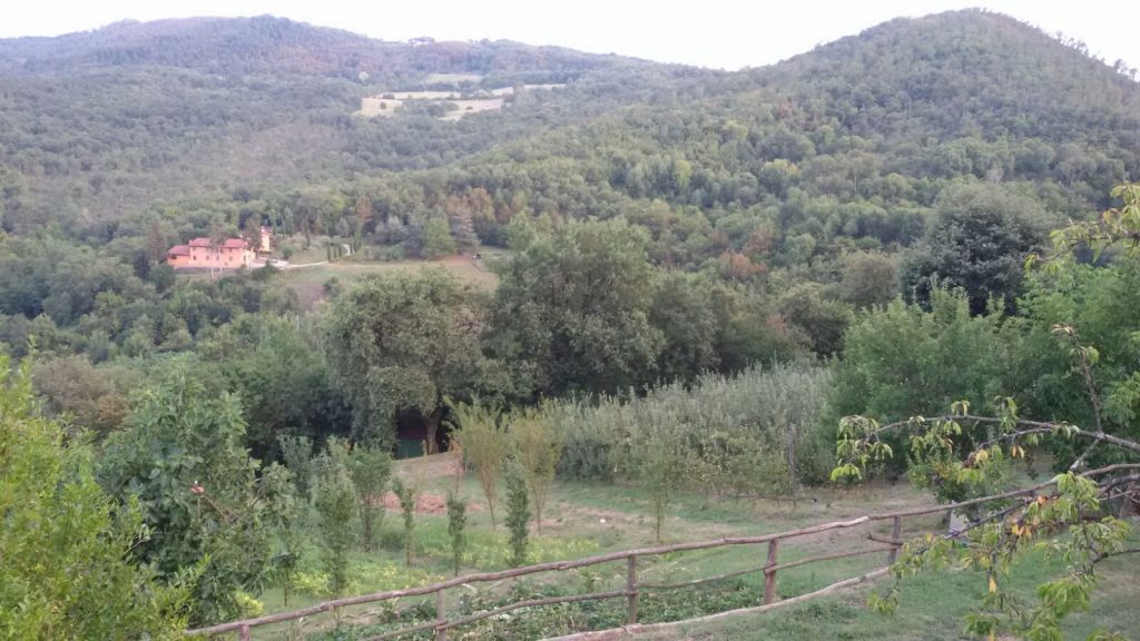latera3