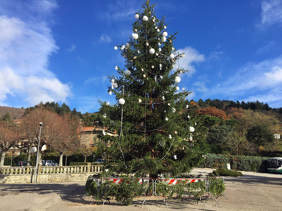 albero-bivigliano-2016-1-natale-vaglia