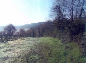ambito-per-la-risalita-sul-monte-beccai-2