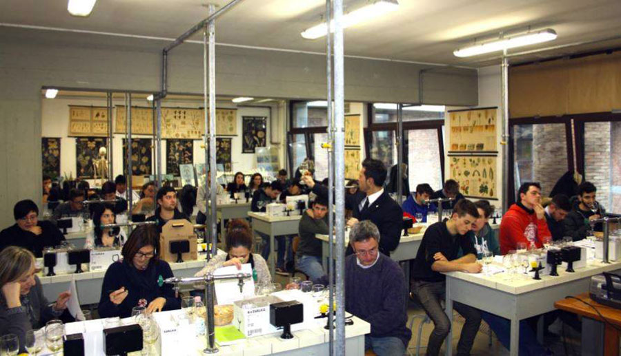 corso-degustazione-giotto-ulivi-vino-olio