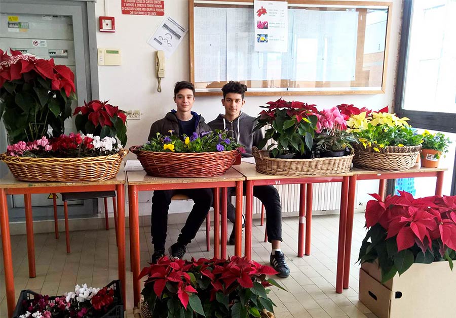 mercatino-giotto-ulivi-natale-2016-1