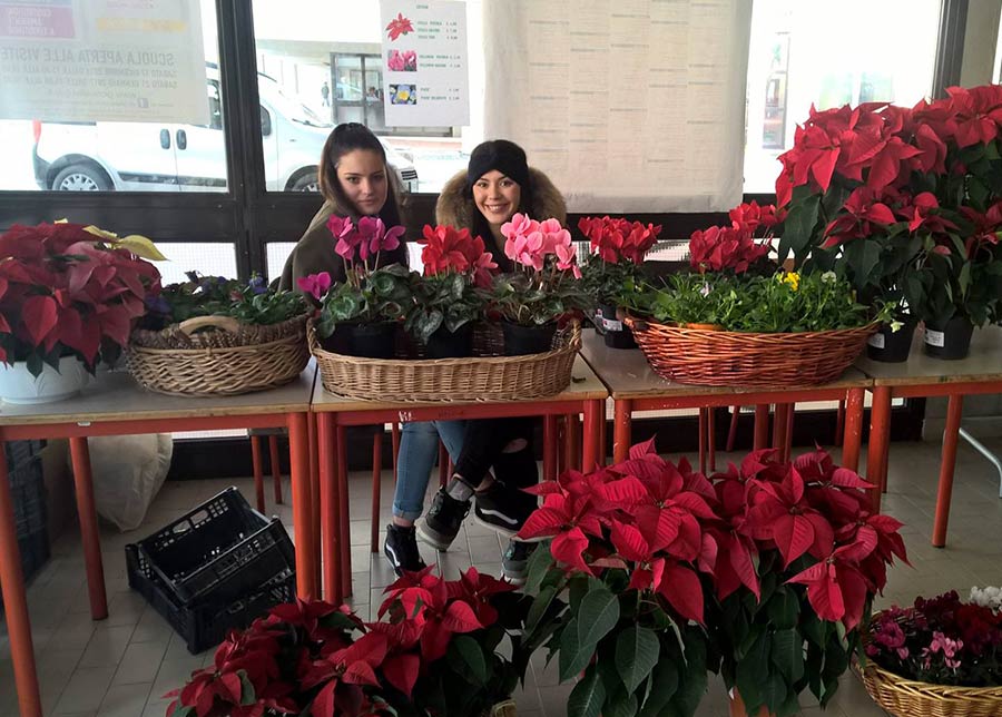 mercatino-giotto-ulivi-natale-2016-2