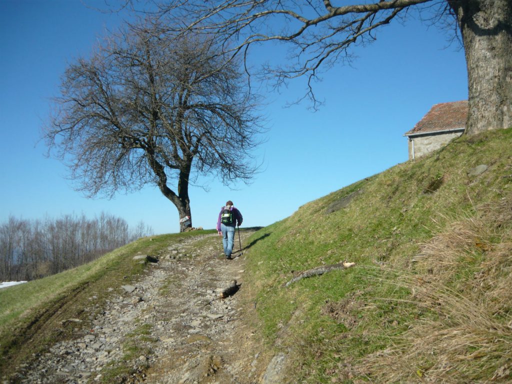 trentennale-gev-2