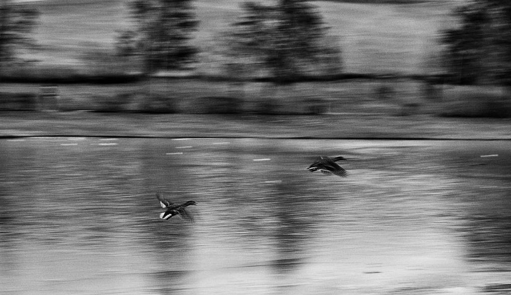 lago-montelleri-matteo-castagnoli-3