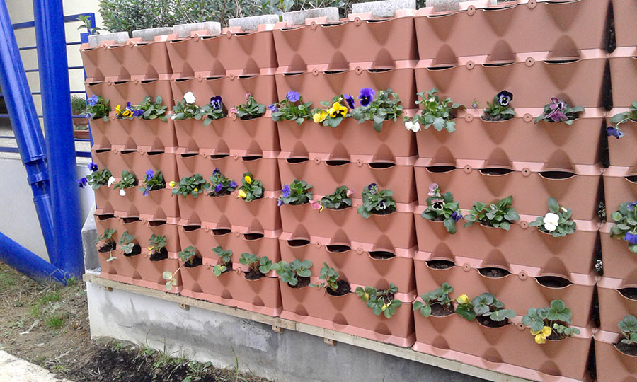 orto-verticale-scarperia-5
